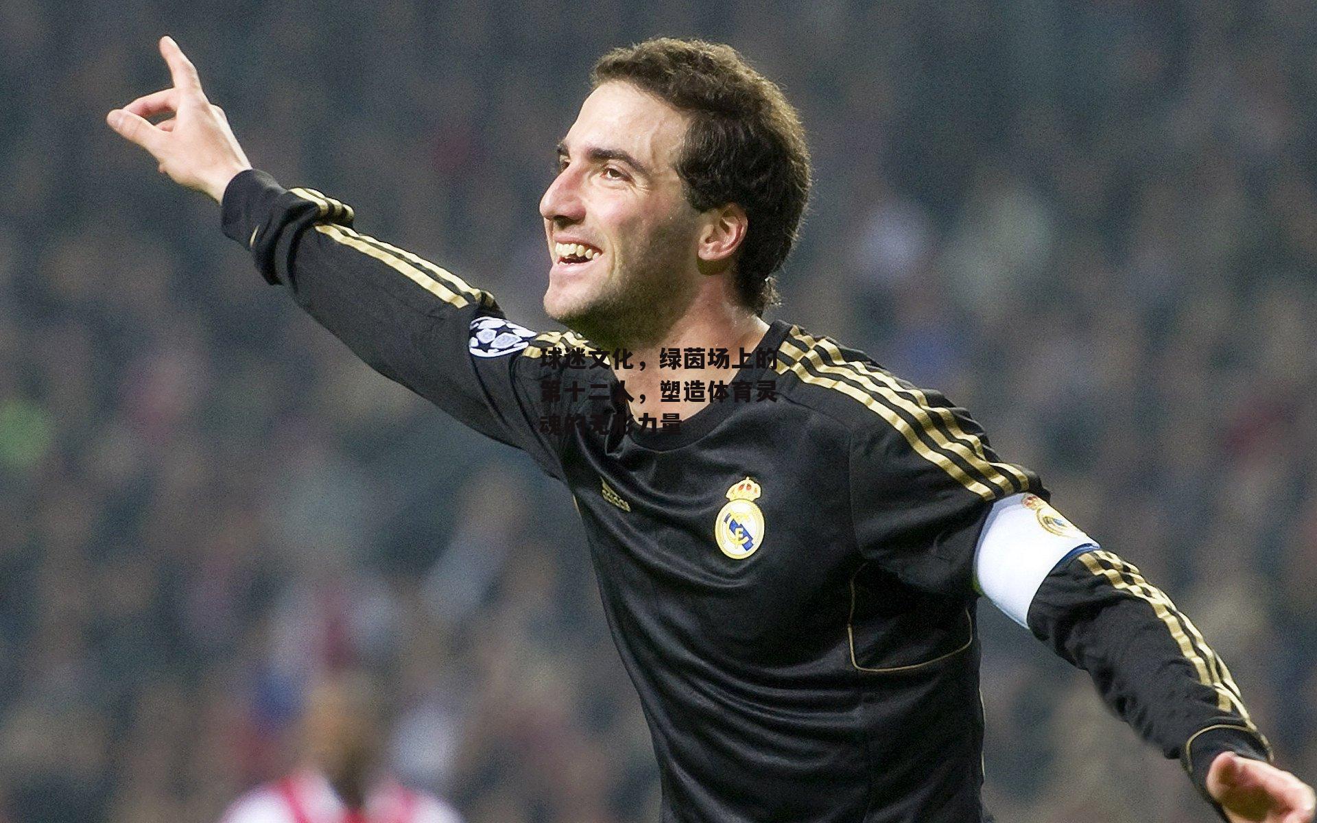 球迷文化,绿茵场上的第十二人,塑造体育灵魂的无形力量